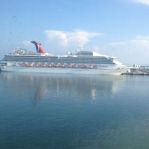 Meet your Posher, Bernice