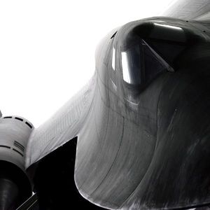 Meet your Posher, Tony