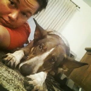 Meet your Posher, Hannah