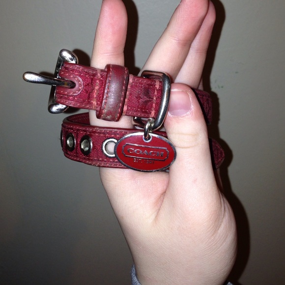 Red Coach Dog Collar