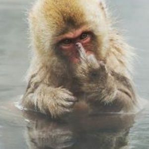 Meet your Posher, Garrett