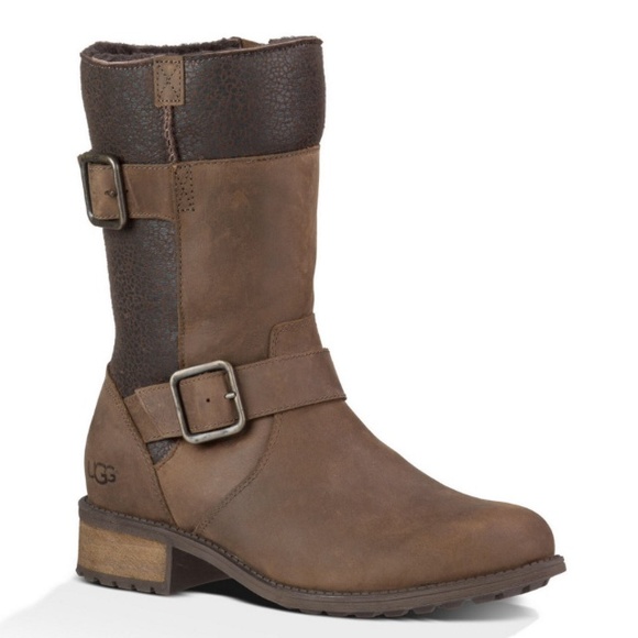 Brand New Brown Stout Oregon Uggs