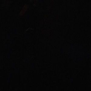 Meet your Posher, Suzanne