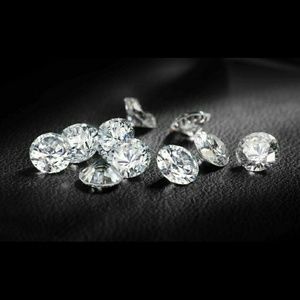 Meet your Posher, Rose