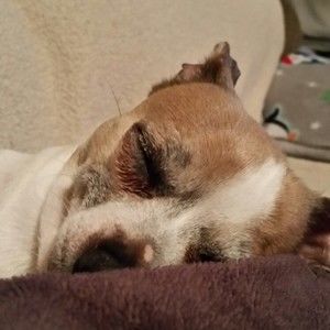 Meet your Posher, Selina jessenia