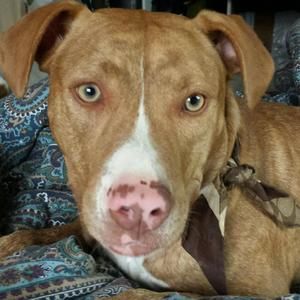 Meet your Posher, Michele