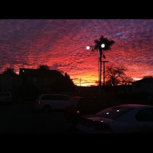 Meet your Posher, Julius