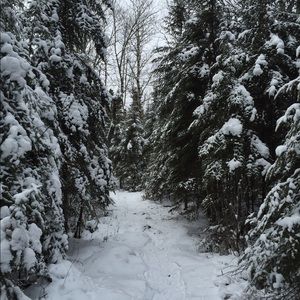 Meet your Posher, Dani