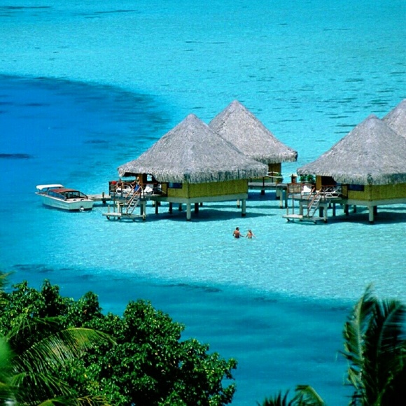 Meet your Posher, Amy - Picture 1 of 1