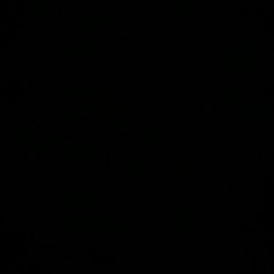 Meet your Posher, Rose