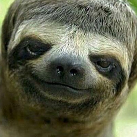 Meet your Posher, Jasmin