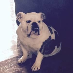 Meet your Posher, Debra