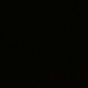 Meet your Posher, Katrina