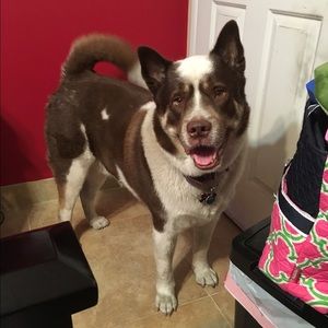 Meet your Posher, Catalina