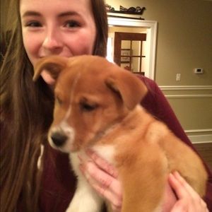 Meet your Posher, Kate