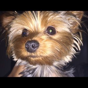 Meet your Posher, Kiaunna