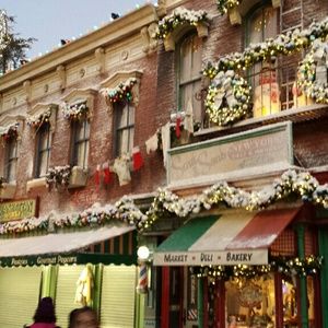 Meet your Posher, Kathern