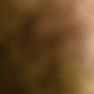 Meet your Posher, Amiee