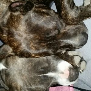 Meet your Posher, Serena