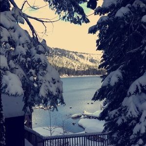 Meet your Posher, Celine