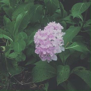 Meet your Posher, Myles