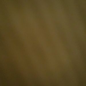 Meet your Posher, Fong