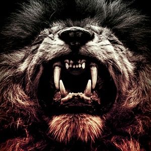 Meet your Posher, Adnan