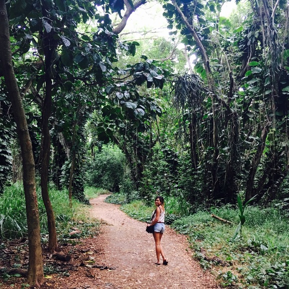 Shop Open again! - Picture 2 of 5