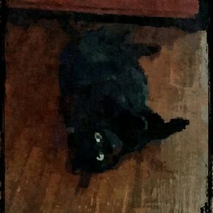 Meet your Posher, Shawn