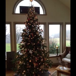 Meet your Posher, Karin