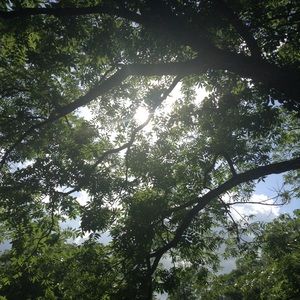 Meet your Posher, Scarlet