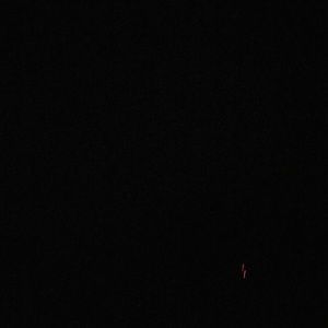 Meet your Posher, Shelly