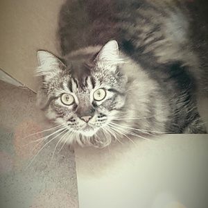 Meet your Posher, Rebecca