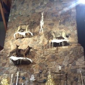 Meet your Posher, Robin