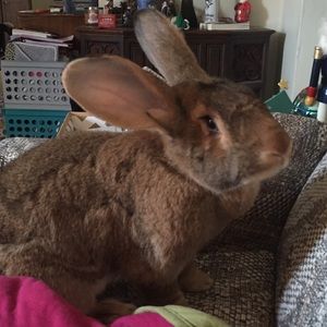 Meet your Posher, Chelby