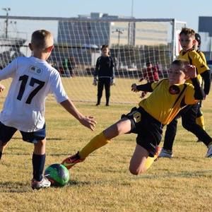 Meet your Posher, Anissa