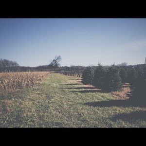 Meet your Posher, Stacy