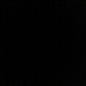 Meet your Posher, Calli