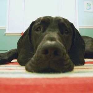 Meet your Posher, Christine