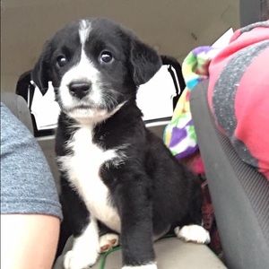 Meet your Posher, Kelsey