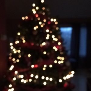 Meet your Posher, Paulina