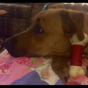 Meet your Posher, Natalie