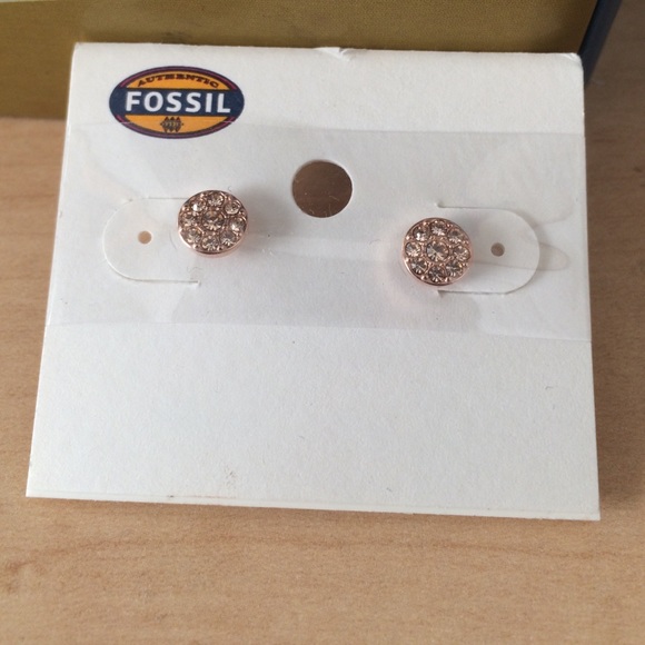 Fossil rose gold studs