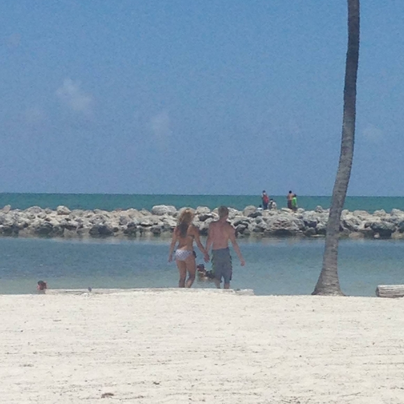 Meet your Posher, Avery - Picture 1 of 1