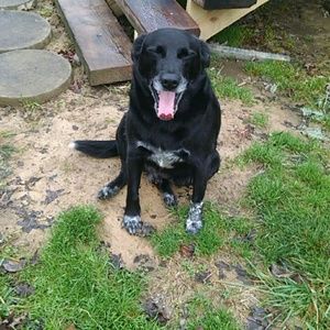 Meet your Posher, Jake