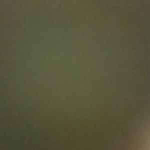 Meet your Posher, Krystal