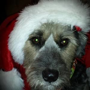 Meet your Posher, Aubrey