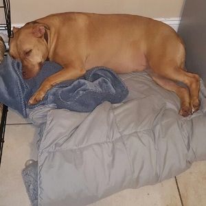 Meet your Posher, Angela