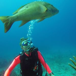 Meet your Posher, Elsa