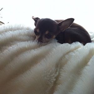 Meet your Posher, Julia